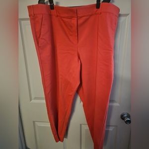 Coral Lane Bryant Pants
